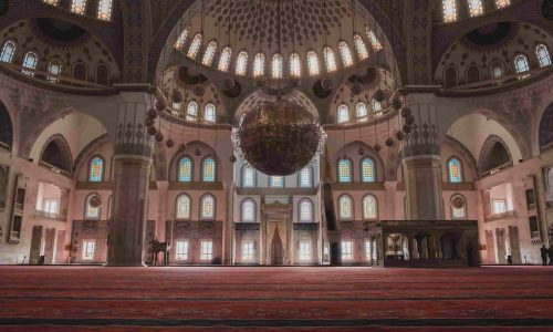 febiyan-4GTyWQuKgsE-unsplash-min